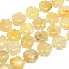 Mixed Natural Gemstone Flower Bead Strands G-L173-20mm-M-2