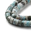 Natural Larimar Beads Strands G-Q024-B03-04-4
