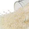 TOHO Round Seed Beads SEED-JPTR15-0147-1