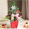 Cotton Ribbons OCOR-WH0032-49B-6