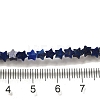 Natural Lapis Lazuli Beads Strands G-G085-B02-01-4