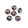 Transparent Glass European Beads GPDL-N005-D14mm-A17-1