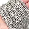 Natural Labradorite Beads Strands G-I341-11A-1