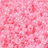 Glass Seed Beads SEED-H002-H-1309-3