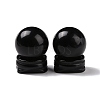 Natural Obsidian Display Decorations DJEW-G032-02F-1