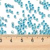 Glass Seed Beads X1-SEED-S042-04A-13-4