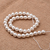 Polished Round Grade A Shell Pearl Bead Strands X-BSHE-M027-10mm-28-2
