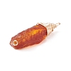 Natural Amber Pendants PALLOY-JF01827-02-4