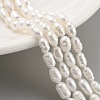 Natural Cultured Freshwater Pearl Beads Strands PEAR-P062-04C-2