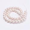 Wrinkle Textured Shell Pearl Beads Strands BSHE-E016-6mm-07-2