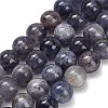 Natural Iolite Beads Strands X-G-G300-A04-8mm-2
