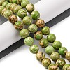 Dyed Natural Regalite/Imperial Jasper/Sea Sediment Jasper Beads Strands G-B124-C03-08-2