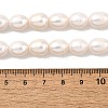 Natural Cultured Freshwater Pearl Beads Strands PEAR-I007-01E-04A-5