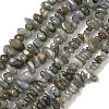 Natural Labradorite Beads Strands X-G-I225-15A-5