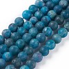 Natural Apatite Beads Strands G-F617-02-6mm-1
