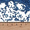 Baking Paint Glass Seed Beads SEED-S042-05B-75-4