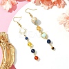 Chakra Theme Natural & Synthetic Mixed Gemstone Beads Dangle Earrings EJEW-TA00382-2