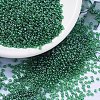 MIYUKI Round Rocailles Beads X-SEED-G007-RR0173-1