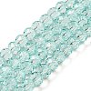 Transparent Baking Paint Glass Beads Strands DGLA-A034-T6mm-D01-1