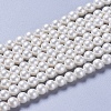 Round Shell Pearl Matte Surface Bead Strands X-BSHE-M011-08-4mm-2