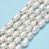Natural Cultured Freshwater Pearl Beads Strands PEAR-J006-18B-01A-2
