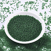 MIYUKI Round Rocailles Beads X-SEED-G007-RR0146F-2