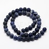 Natural Sodalite Beads Strands G-D682-10mm-2