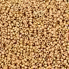 MIYUKI Round Rocailles Beads X-SEED-G009-RR4202-3