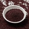 MIYUKI Round Rocailles Beads SEED-G009-RR0419-2