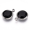 K9 Glass Charms X1-GLAA-T023-37B-01-2