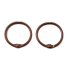 Spray Painted Iron Hinged Binder Rings IFIN-P040-01A-2