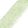 Natural Prehnite Beads Strands G-C009-B21-1