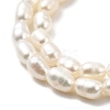 Natural Cultured Freshwater Pearl Beads Strands PEAR-I007-01O-01B-4
