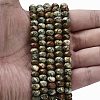 Natural Rhyolite Jasper Beads Strands G-Z111-A14-01-2