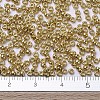 MIYUKI Round Rocailles Beads LS-X-SEED-G007-RR4202-2