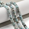 Natural Larimar Beads Strands G-Q024-B03-04-2