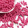 Baking Paint Glass Seed Beads SEED-A032-02M-1
