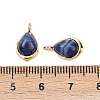 Natural Sodalite Teardrop Charms KK-B157-33C-G-3