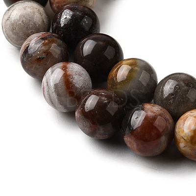 Natural Mexico Crazy Agate Beads Strands G-L615-A01-02-1