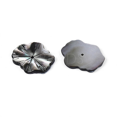Natural Black Lip Shell Carved Leaf Beads BSHE-T014-31B-1