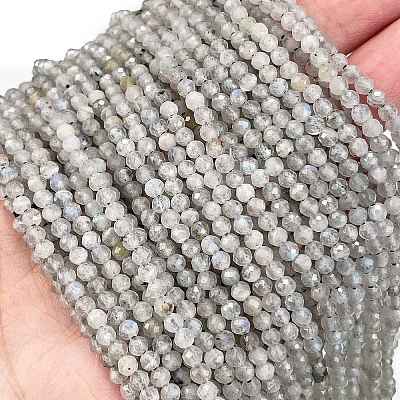 Natural Labradorite Beads Strands G-I341-11A-1