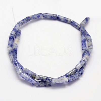 Natural Blue Spot Jasper Column Beads Strands G-F247-02-1