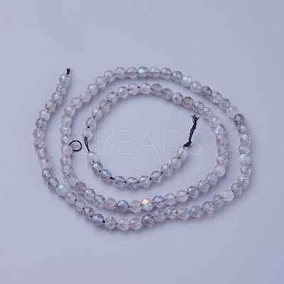 Natural Labradorite Beads Strands G-F619-15-4mm-1