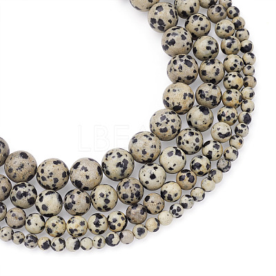 4 Strands 4 Style Natural Dalmatian Jasper Beads Strands G-YS0001-06-1