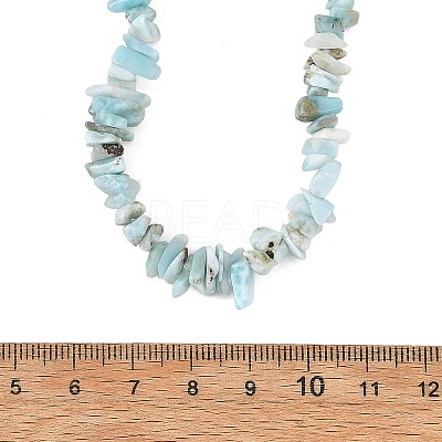 Natural Larimar Chip Beaded Necklaces with 304 Stainless Steel End Chains NJEW-JN06662-1