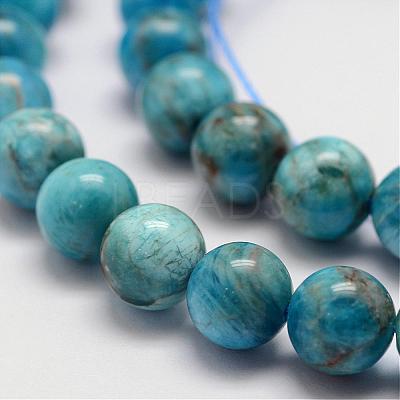 Natural Apatite Beads Strands G-D856-01-10mm-1