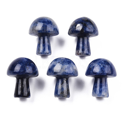 Natural Sodalite GuaSha Stone G-N0325-02V-1