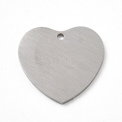 Tarnish Resistant 304 Stainless Steel Pendants STAS-F271-06D-P-1