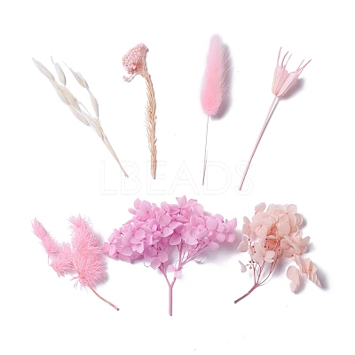 Dried Flowers DIY-D052-09-1
