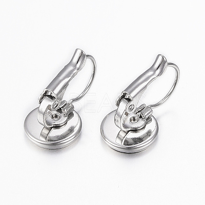 Tarnish Resistant 304 Stainless Steel Leverback Earring Findings X-STAS-H423-04P-1